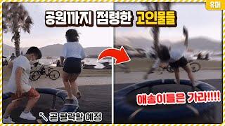 이거 이렇게 타는거였어..? 이제는 공원까지 점령해버린 고인물들ㅋㅋㅋㅋㅋㅋㅋㅋㅋ