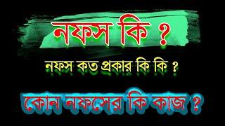 নফস কি । নফস ও রুহ কি । নফসের শ্রেনীবিভাগ।নফসের কর্ম ।What is nafs in islam ।নফস রুহ ও কলব ।জীবন আলো