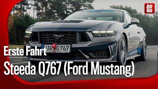 On the road in the Mega-Mustang | First ride with Jan Horn