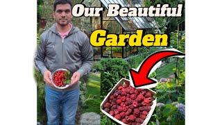 Home Garden vlog️🪴