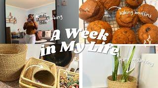 DAYS IN LIFE VLOG| DITL VLOG  |  SHOPPING  ORGANISERS UNDER LOW BUDGET |SIMPLE BREAKFAST 