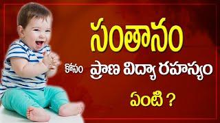 Secret of Prana Vidya |  Breathing Techniques