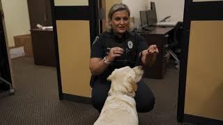 UCFPD's Therapy Dog Meets UCF Students, Faculty and Staff