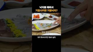 낙지를 때려서 기절하면 기절낙지?? (feat.이대호) #무안맛집 #맛부심