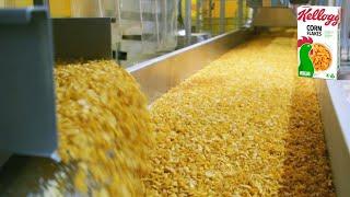 How CORN FLAKES are made  | How breakfast cereals are made