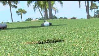 Royal Tee Golf Club in Cape Coral closes its doors