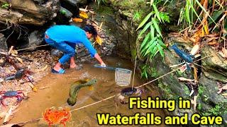 Catching fish in waterfalls‍️ | Chana Fishing in mountain | Fishing in Assam rivers and waterfall