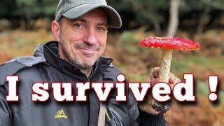 How I foraged forest mushrooms and survived !!