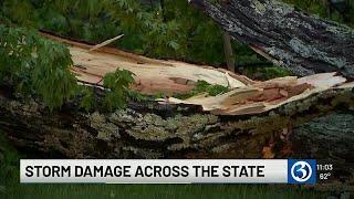 Thunderstorms cause fallen trees and power outages across the state