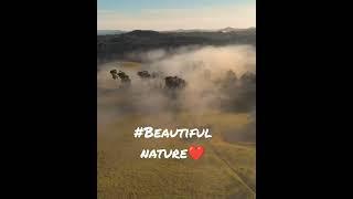 #Love nature️