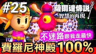 【薩爾達傳說 智慧的再現】25-費羅尼神殿 100%破關(Echoes of Wisdom)