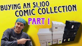 Buying a Comic Collection for $1,100 - Part 1