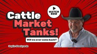 Downward Spiral: Cattle Market Plummets!