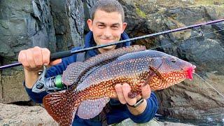 How to Find the best fishing Spot - How to lure fish from the shore!!