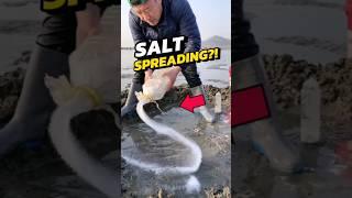 NEVER Sprinkle Salt on the Beach  #viral