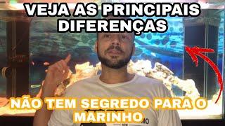 AQUÁRIO MARINHO SEM MISTÉRIO!!!