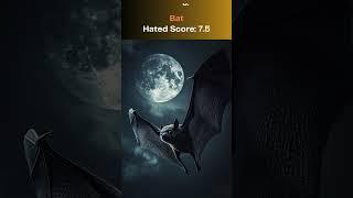 Top 10 Most Hated Animals In The World