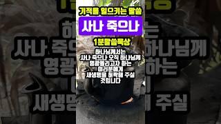 사나 죽으나 | 기적을 일으키는 말씀 | #말씀조은tv #조현상목사 #목양교회 #성경암송 #큐티 #1분말씀묵상