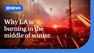 What's causing Los Angeles' ferocious wildfires outside of the fire season? | ABC NEWS