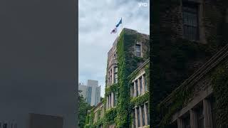 그 해 연세는 | Summer of Yonsei  #연세대 #연세대학교