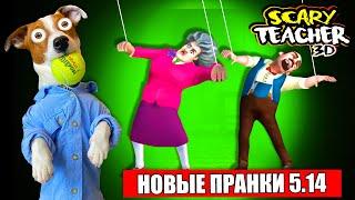 МИСС ТИ стала Куклой  Злая училка (Scary Teacher 3D) - новые Пранки