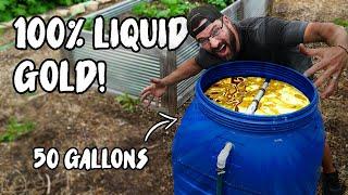 How to make LIQUID ORGANIC FERTILIZER for CHEAP with this COMPOST TEA BREWER!