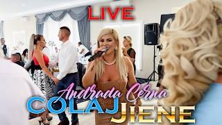 Andrada Cerna - Colaj de JIENE - LIVE - 2024 