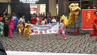 NOVA Wushu 2016 Performance