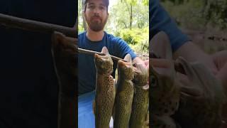 Fly Fishing and Trout Tacos 