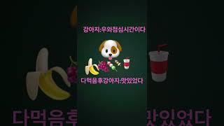 강아지의먹방