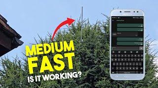 Installing a new MEDIUM-FAST Meshtastic node up a tree!!!