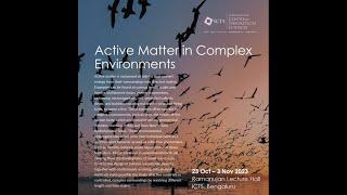 The Physics of Bacterial Transport in Dilute and Porous Environments by Christina Kurzthaler