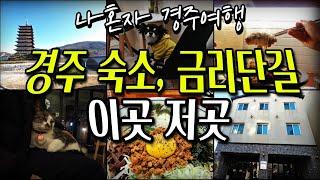 혼자 경주를 즐기는 법 | 추천 숙소 | 금리단길 맛집| 구경주역| 황룡원 9층탑