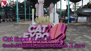 Cat Expo 11 ทำได้!! ปักตะไคร้ไล่ฝนสำเร็จ บรรยากาศราบรื่นทั้ง 2 วันงาน : รีวิวคอนเสิร์ต