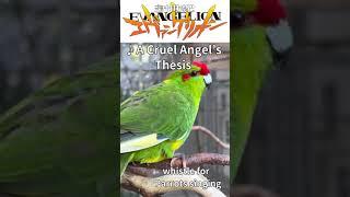 A Cruel Angel’s Thesis(Zankoku na Tenshi no These)– Whistle Cover for Cockatiel Training 残酷な天使のテーゼ