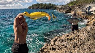 Fishing A Duck For Saltwater MONSTERS! (Will it work)