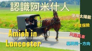 認識賓州阿米什人 拒絕公共電力 忠於信仰 簡樸與世隔絕的生活 Amish in Lancaster County, Pennsylvania