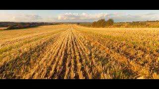 Green Fields of France | 4K Cinematic FPV