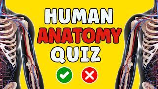 Brain-Teasing Anatomy Quiz: Test Your Knowledge Of The Human Body