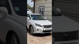 Кортеж свадьба LEXUS RX @MEKANMEDIA #mekanmedia #tojikiston