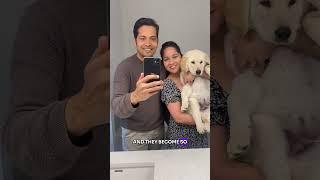 From Stranger to Lifelong Best Friend ️ | Jimmy’s Heartwarming Journey