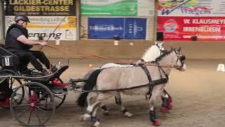 Fahrturnier Ibbenbüren 9.3.2025 (Sicon Cup)