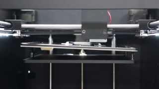 Almond Autoleveling & Bridging[OpenCreators]