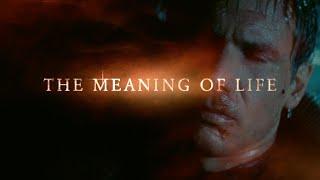 "THE MEANING OF LIFE" - (Subtítulos en español). 205 films to understand life.