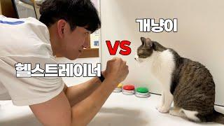 현직 헬스트레이너 VS 개냥이의 유산소 대결 한 판!