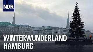 Alstertanne & Co.: Hamburg in Weihnachtsstimmung | Die Nordreportage | NDR Doku