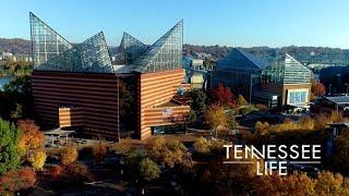 Tennessee Life: The Tennessee Aquarium