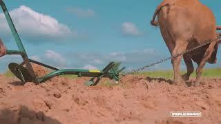 Mealie Brand MB2000 Plough