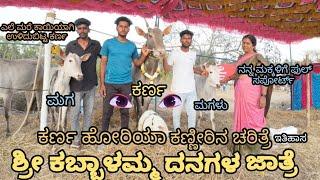 ಶ್ರೀ ಕಬ್ಬಾಳಮ್ಮ ದನಗಳ ಜಾತ್ರೆ 2025 / ಕರ್ಣ ಹೋರಿಯಾ  ಕಣ್ಣೀರಿನ ಚರಿತ್ರೆ /RQR in kannada
