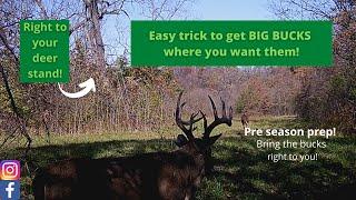 Easy trick to get BIG BUCKS in front of your trail cameras!